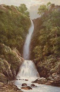 Scale Force - Alexander Francis Lydon